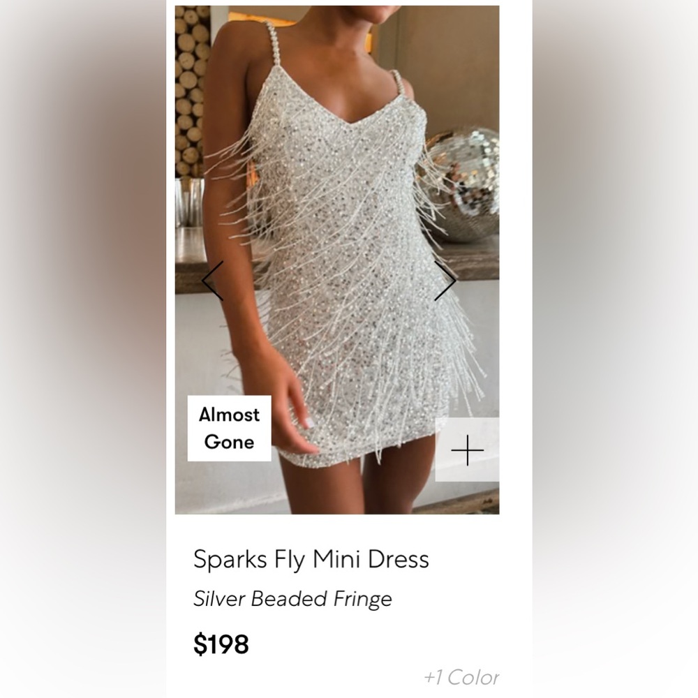 Show me your Mumu silver dress with fringe sequins